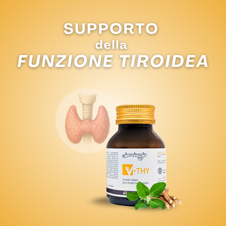 V-THY: Supporto Naturale per la Funzione Tiroidea